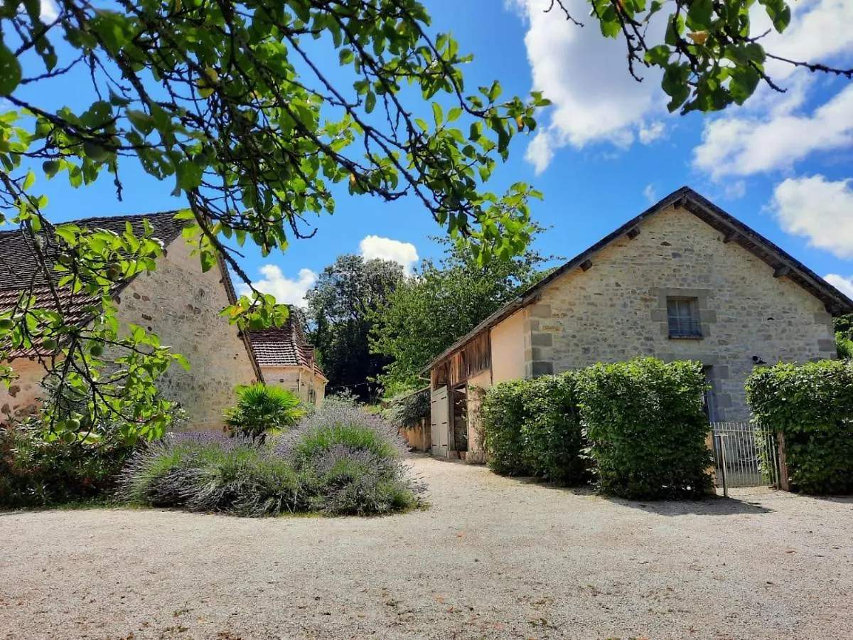 Gite De L'Ane Papillon-3 Chb- Piscine-Jardin Saint-Cirq-Souillaguet France
